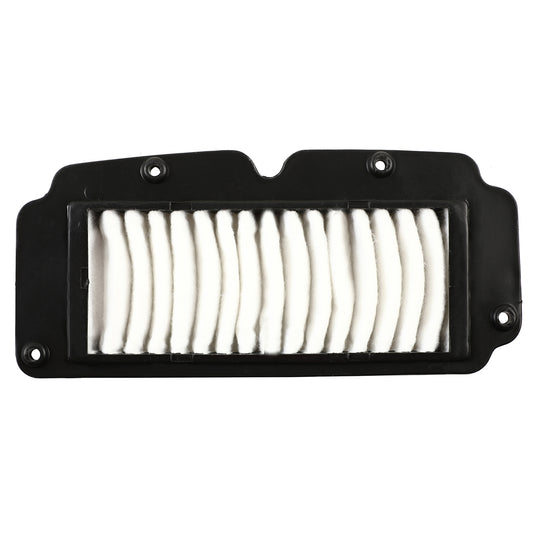 Air Filter Paper Compatible For Suzuki Access Old